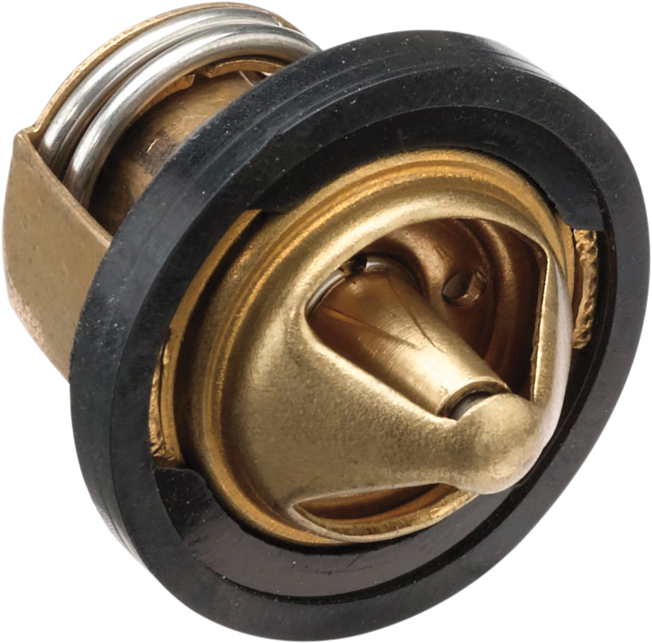 MOOSE UTILITY Thermostat - Polaris 100-2071-PU