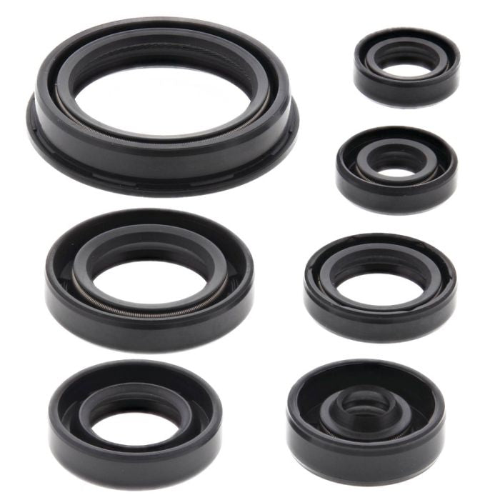 Vertex Engine Oil Seal Set 839376