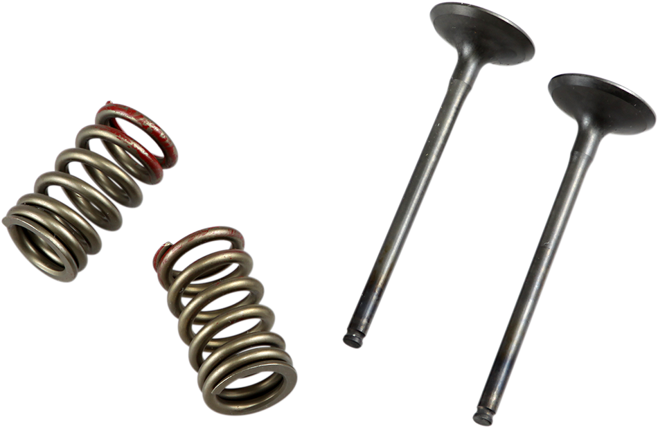 PROX Valve and Spring Kit 28.SES4335-1