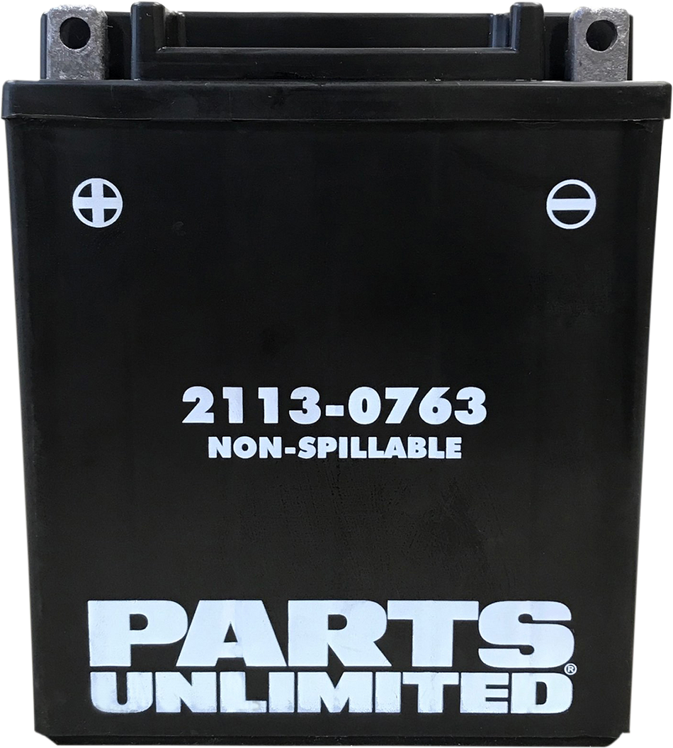 Parts Unlimited Agm Battery - Ctx12aabs Ctx12aabs (Fa)