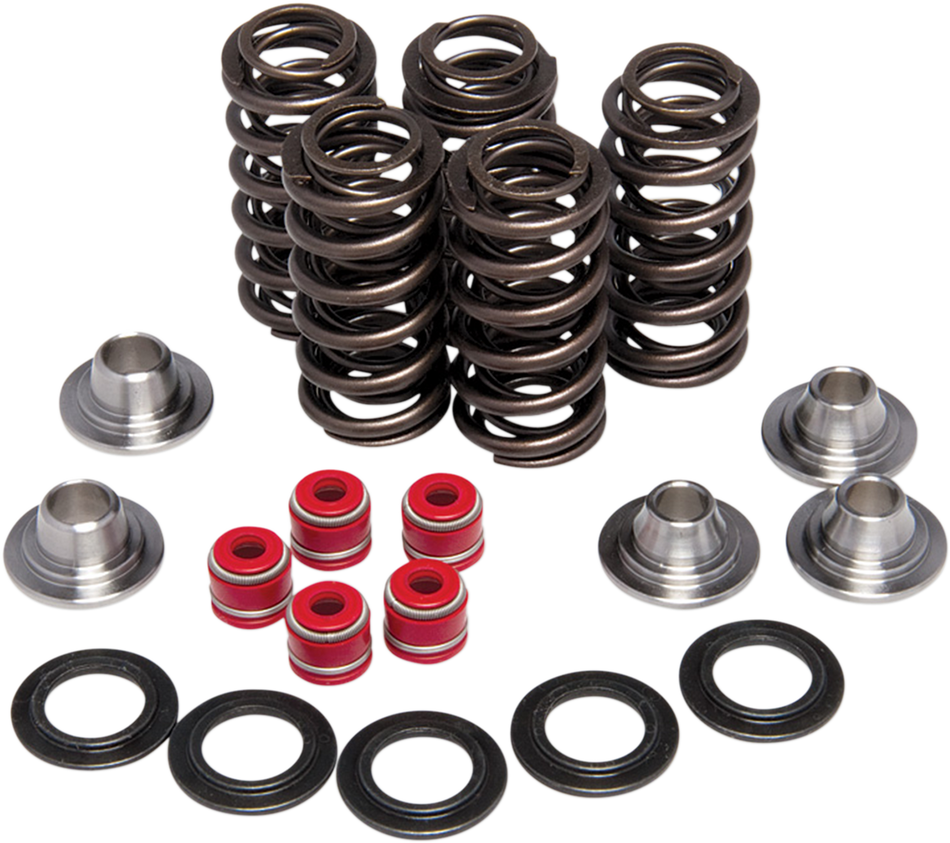 KIBBLEWHITE Valve Spring Kit 80-80206