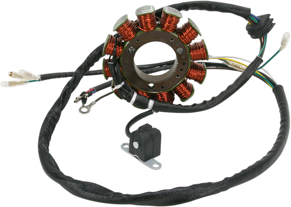 RICK'S MOTORSPORT ELECTRIC Stator 21-562