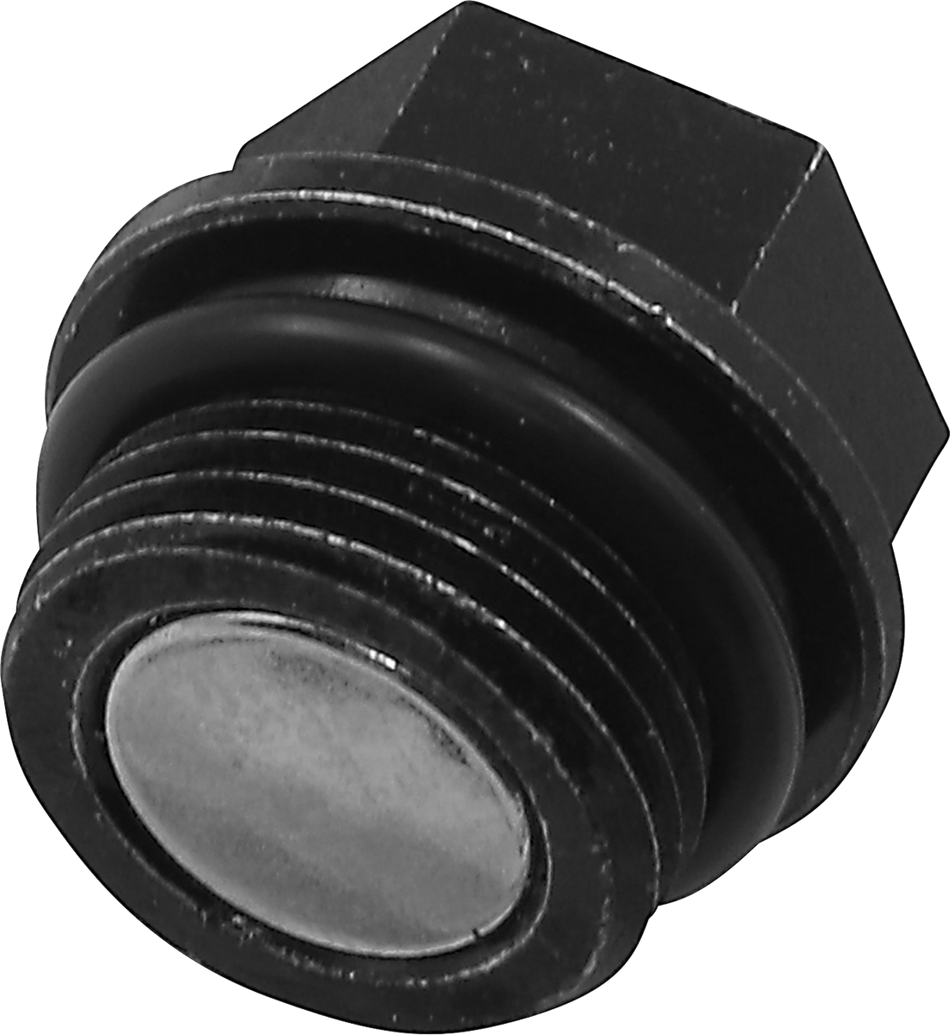 QUAD LOGIC Front Differential Drain Plug and O-Ring 100-2387