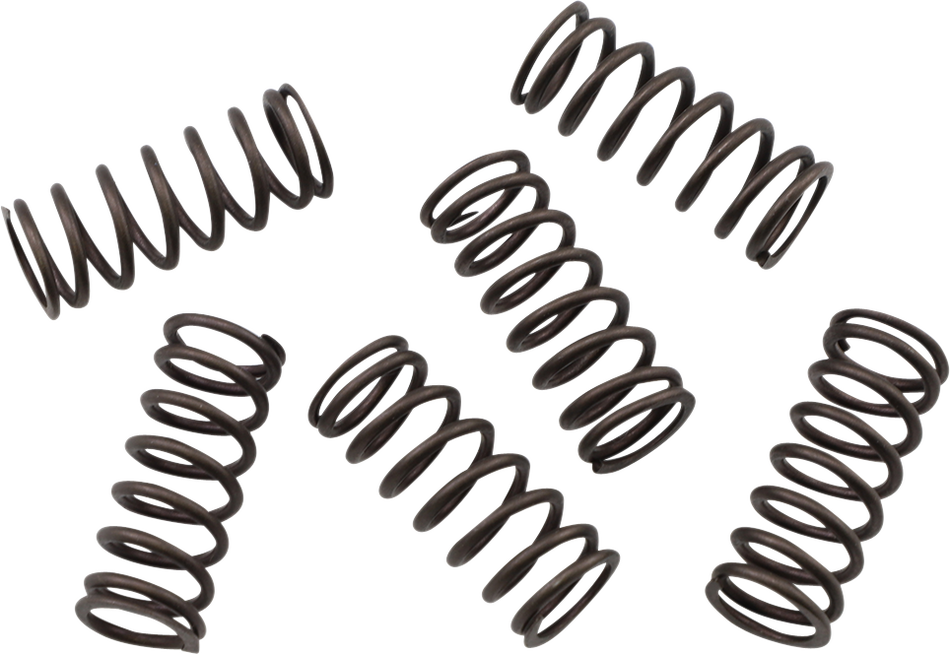 KG POWERSPORTS Clutch Spring Set KGS-809