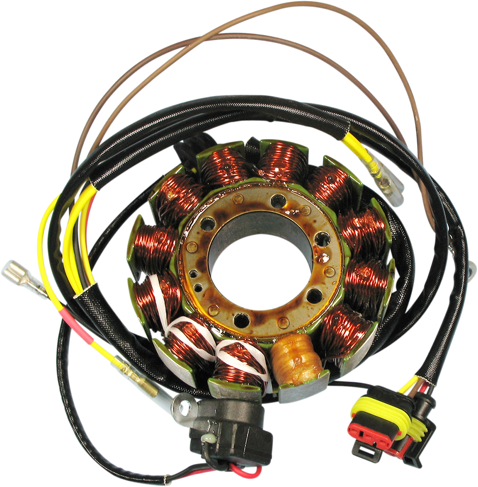 RICK'S MOTORSPORT ELECTRIC Stator - Polaris 21-561