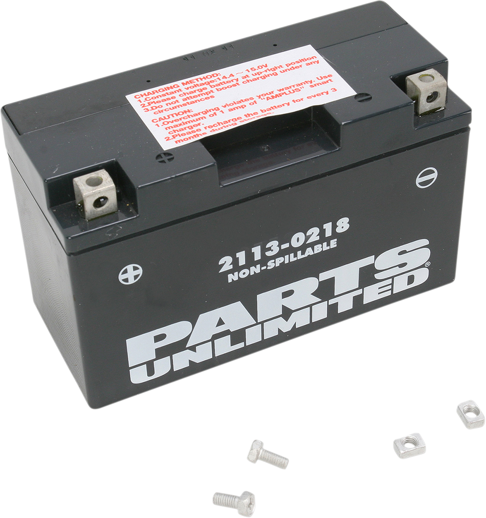 Parts Unlimited Agm Battery - Yt7b-Bs Ct7b-4