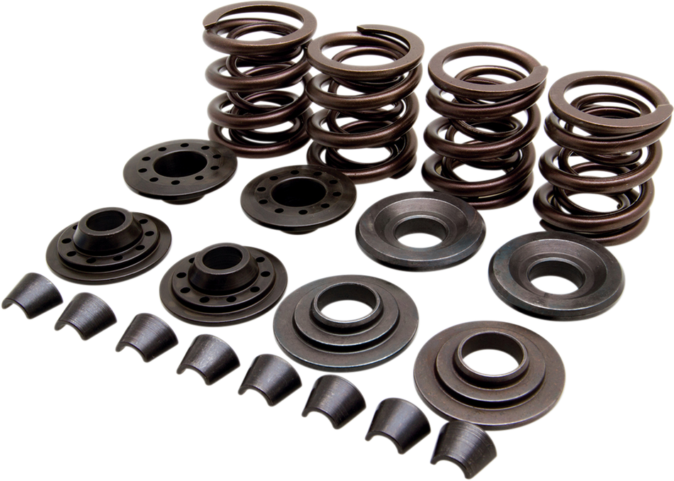 KIBBLEWHITE Valve Spring Kit - XL 20-20440