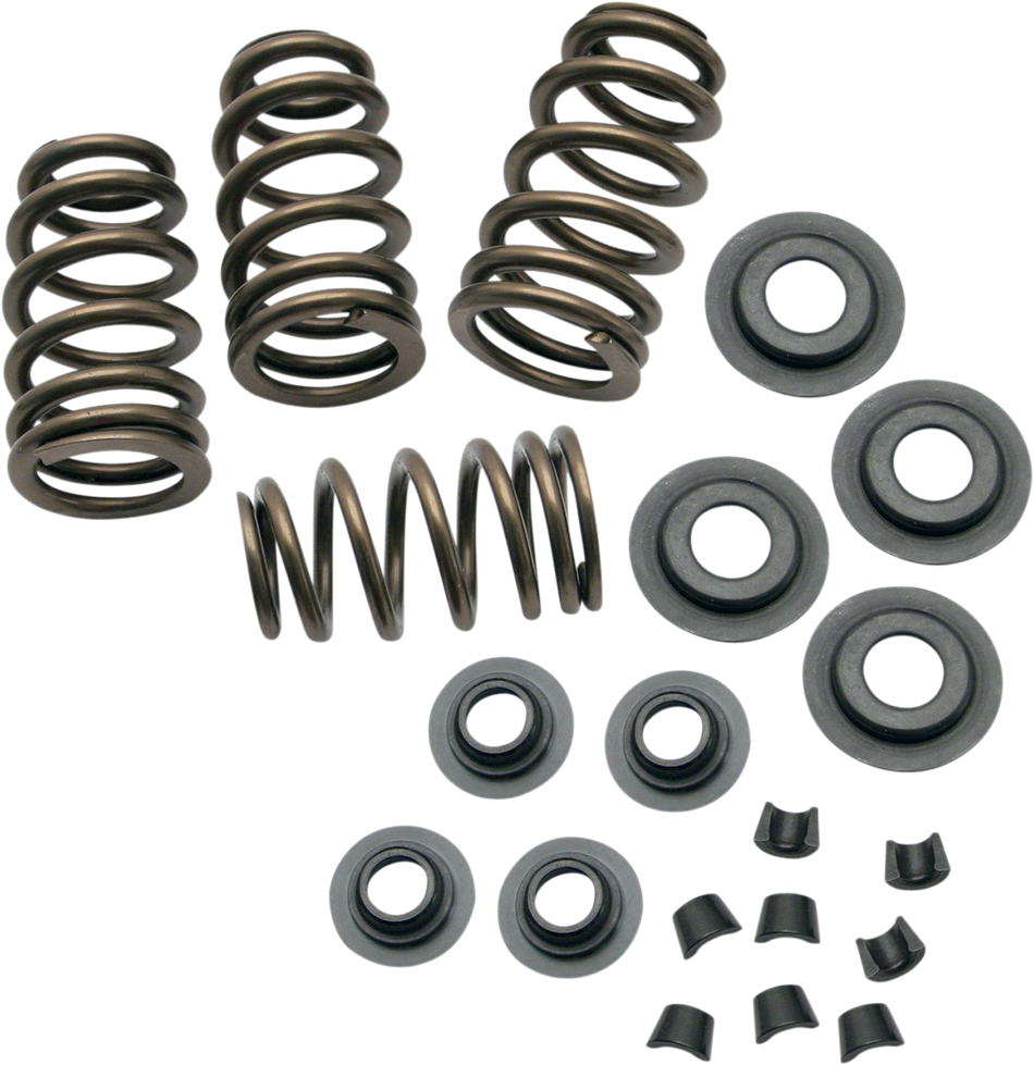 S&S CYCLE Spring Kit - .650" .650" KIT 900-0050