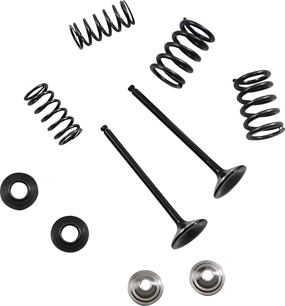 MOOSE RACING Valve and Spring Kit M80-82360