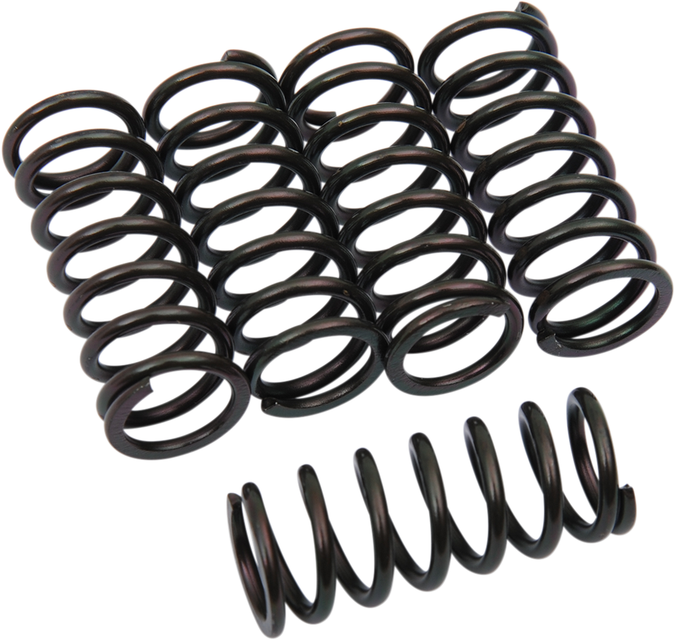 BARNETT Clutch Springs 501-73-05067