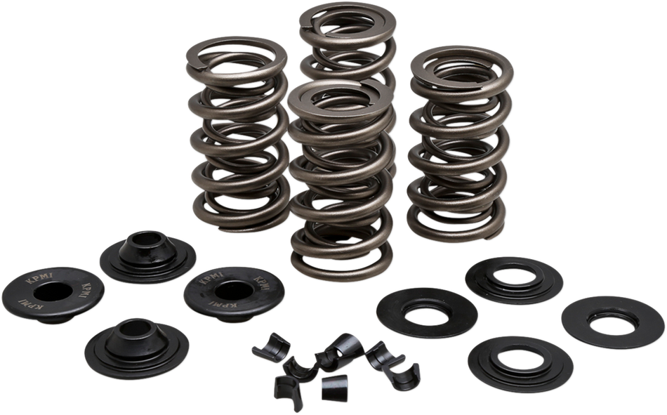 KIBBLEWHITE Spring Kit - .650" - Evolution/Twin Cam 20-21650