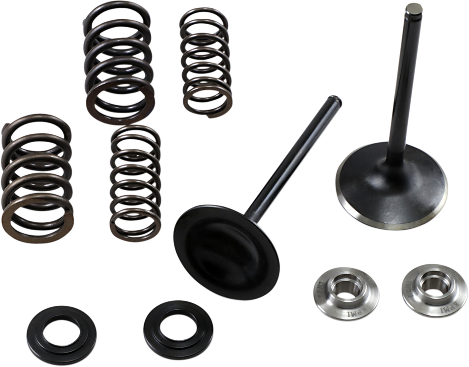 KIBBLEWHITE Intake Spring Kit 30-33250