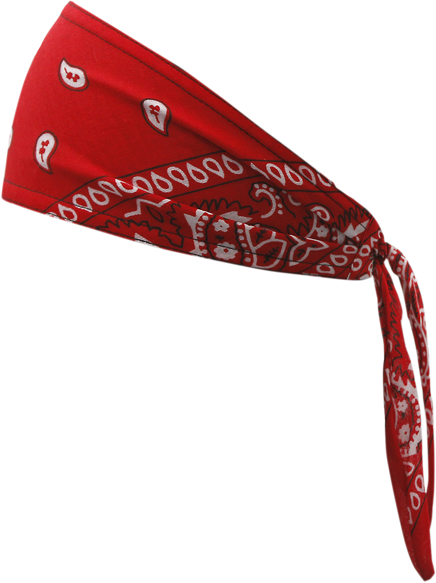 SCHAMPA & DIRT SKINS Old School Bandana - Red Paisley OSB1-225