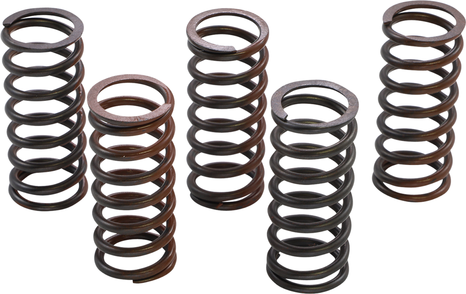 KG POWERSPORTS Clutch Spring Set KGS-905