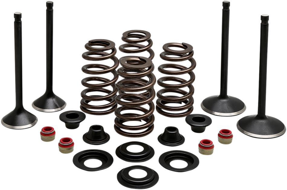 KIBBLEWHITE Complete Valve Kit - Evolution/1200 20-22850