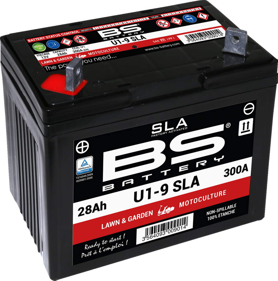 BS BATTERY SLA Factory- Activated AGM Maintenance-Free Battery Battery - U1-9  300901