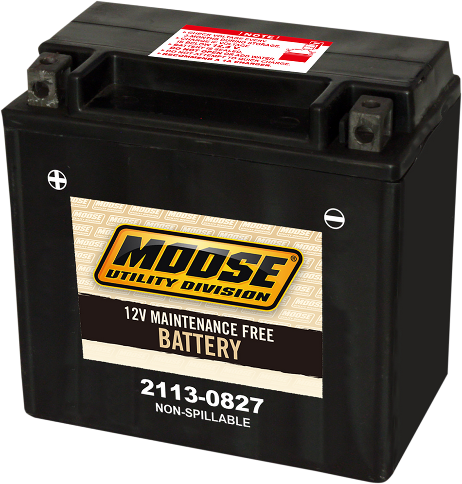 MOOSE UTILITY AGM Battery - CTX14 CTX14