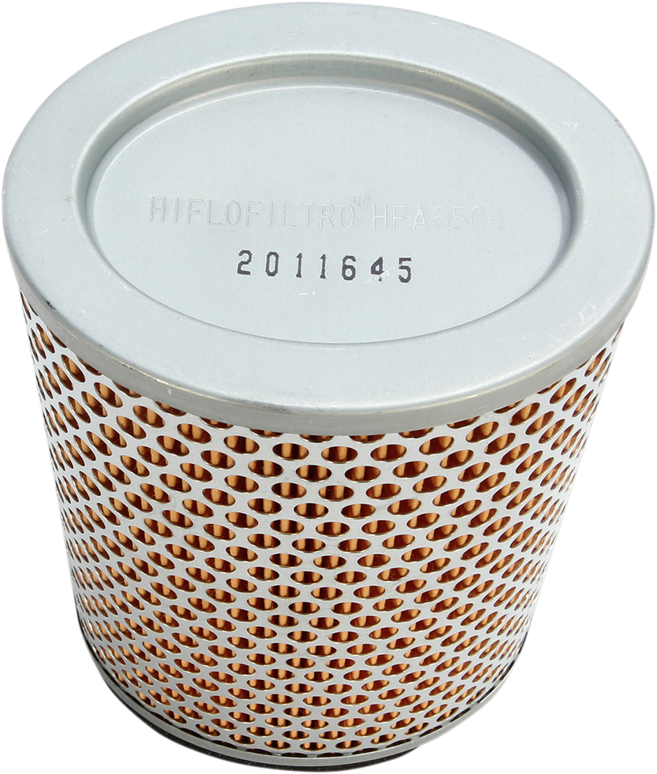 HIFLOFILTRO Air Filter - Triumph '01-'16 HFA6504