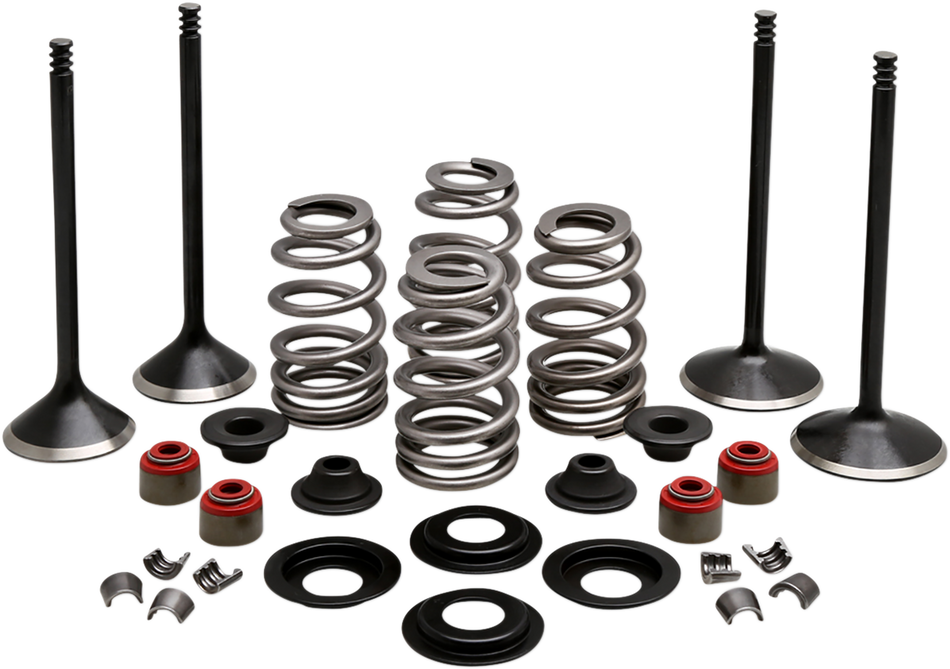 KIBBLEWHITE Complete Valve Kit - Twin Cam 20-23150