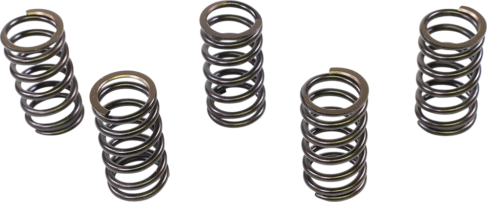 XCELDYNE Intake/Exhaust Valve Springs PSIMX2004