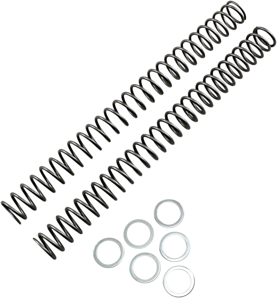 RACE TECH Fork Springs - 0.46 kg/mm FRSP 444746