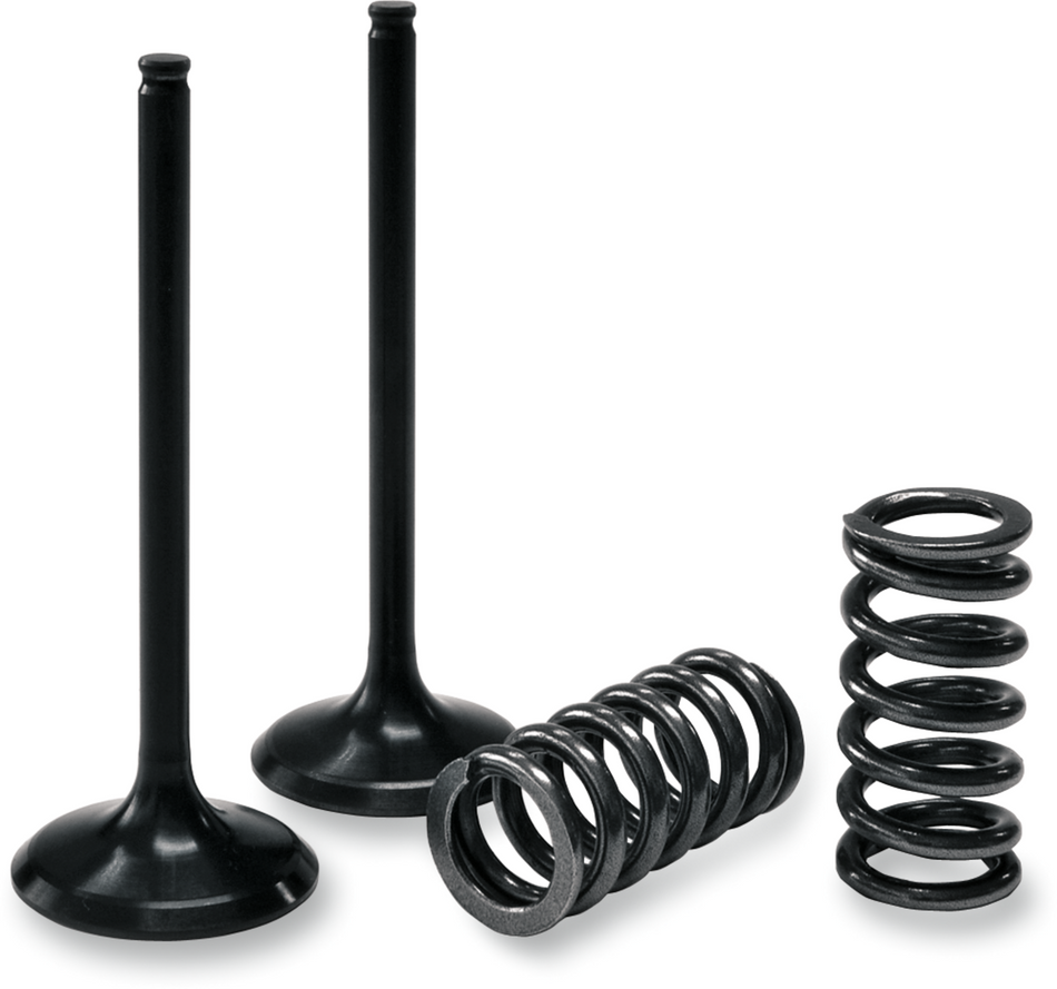 PROX Valve and Spring Kit 28.SIS6351-2