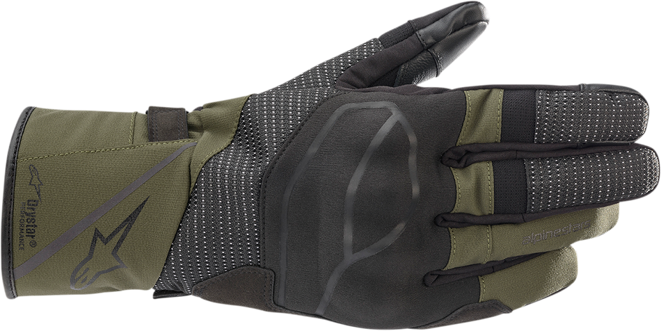 ALPINESTARS Andes V3 Drystar® Gloves - Black Forest - Large 3527521-1681-L