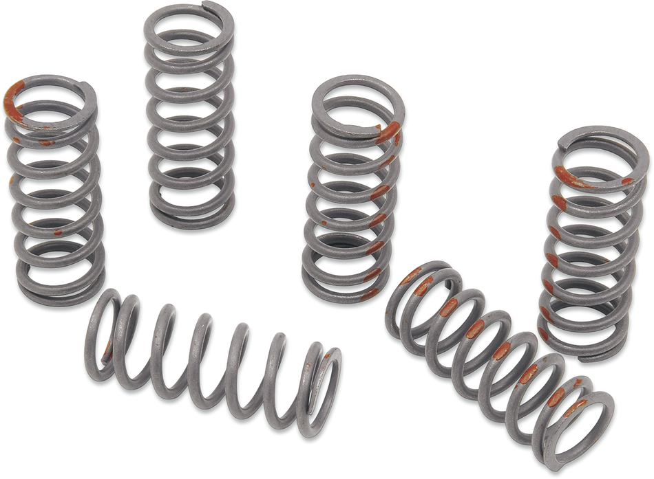 KG POWERSPORTS Clutch Spring Set KGS-058