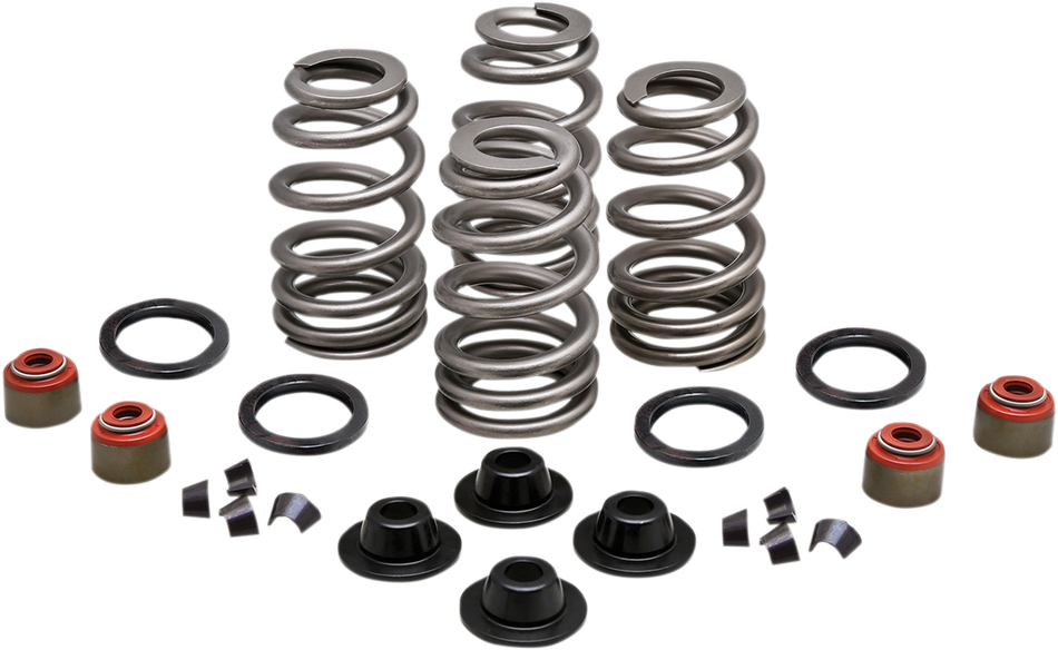 KIBBLEWHITE Spring Kit - .660" - Twin Cam 20-21550