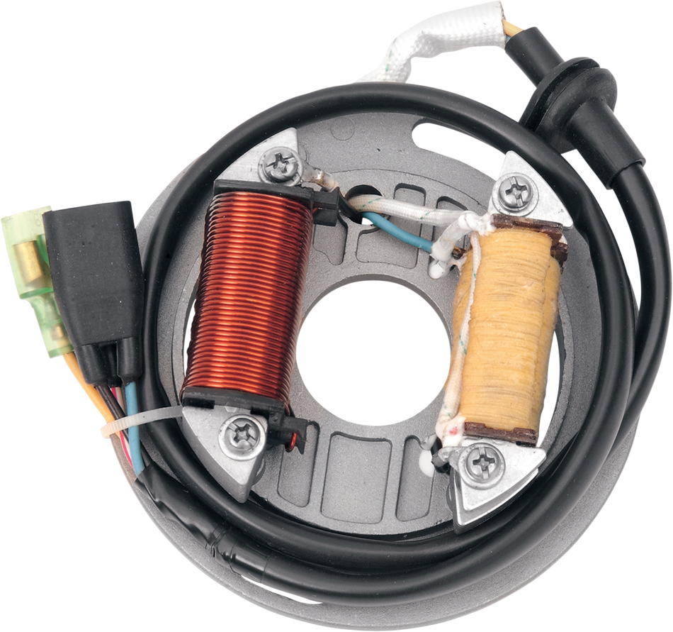 RICK'S MOTORSPORT ELECTRIC High-Output Stator - Kawasaki KXT 250 Tecate 1984-1987 21-705H