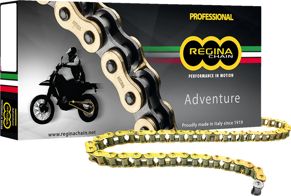 REGINA 520 ZRE - Z-Ring Chain - 114 Links 135ZRE/1005