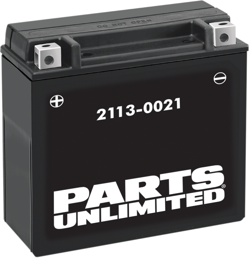 Parts Unlimited Agm Battery - Ytx20h-Bs .95 L Ctx20h-Bs