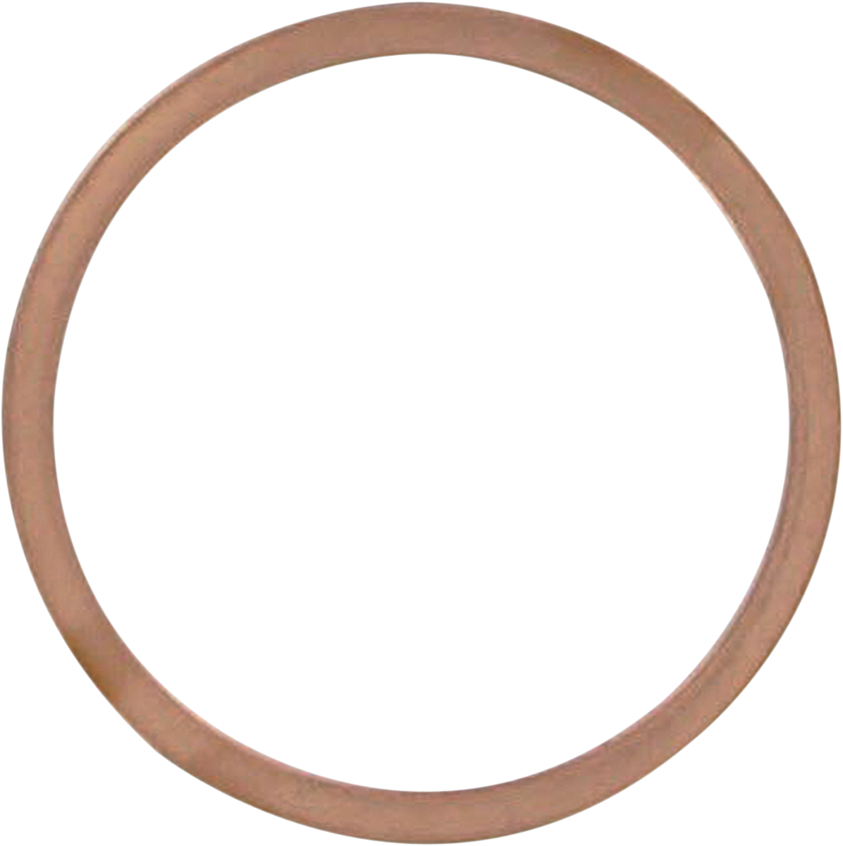 VESRAH Exhaust Gasket VE-4004