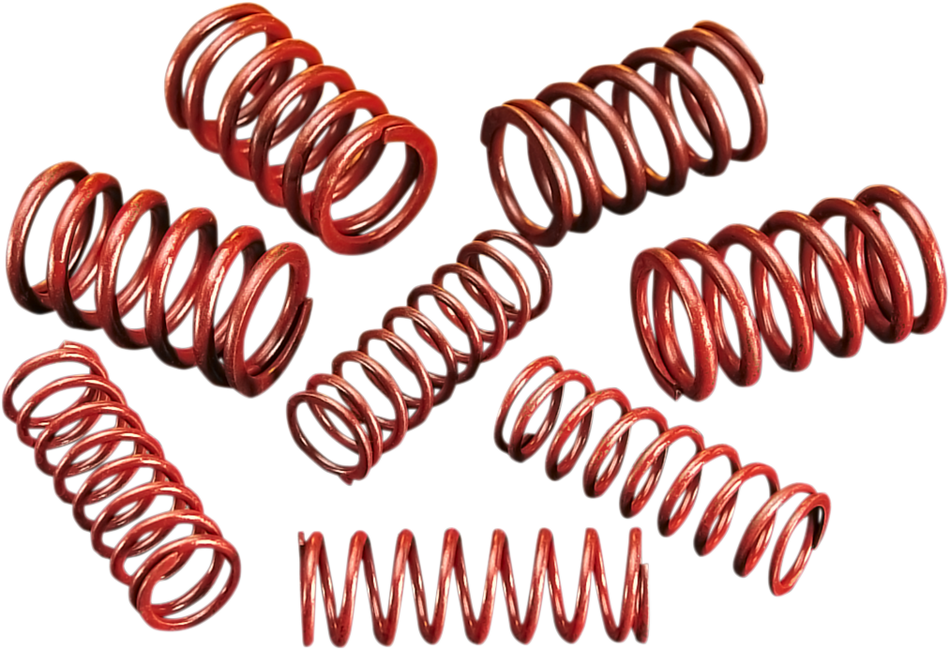 ANDREWS High-Lift Springs 294150