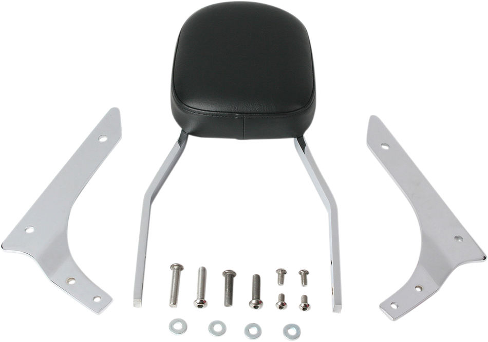 COBRA Sissy Bar - Standard - 750 Aero 02-5118