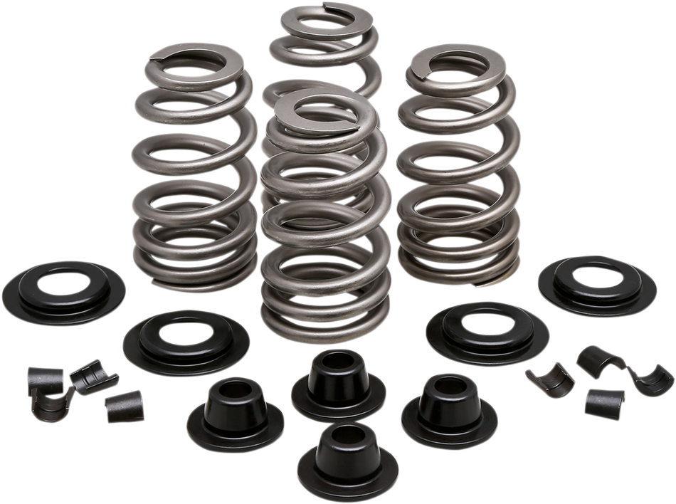 KIBBLEWHITE Spring Kit - .610" - Evolution/Twin Cam 20-21300