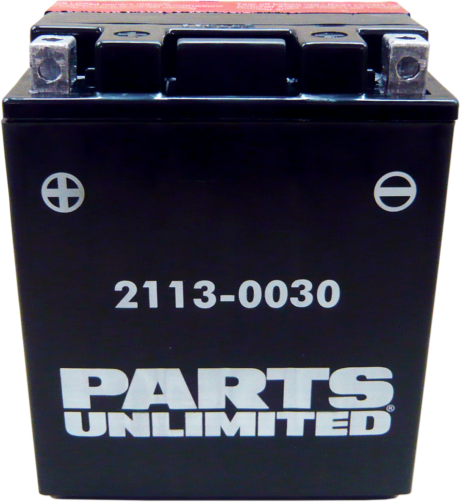 Parts Unlimited Agm Battery - Ytx14ahbs .798l Ctx14ah-Bs