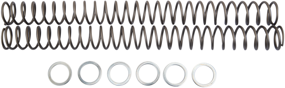 RACE TECH Fork Springs - 0.40 kg/mm FRSP 444740