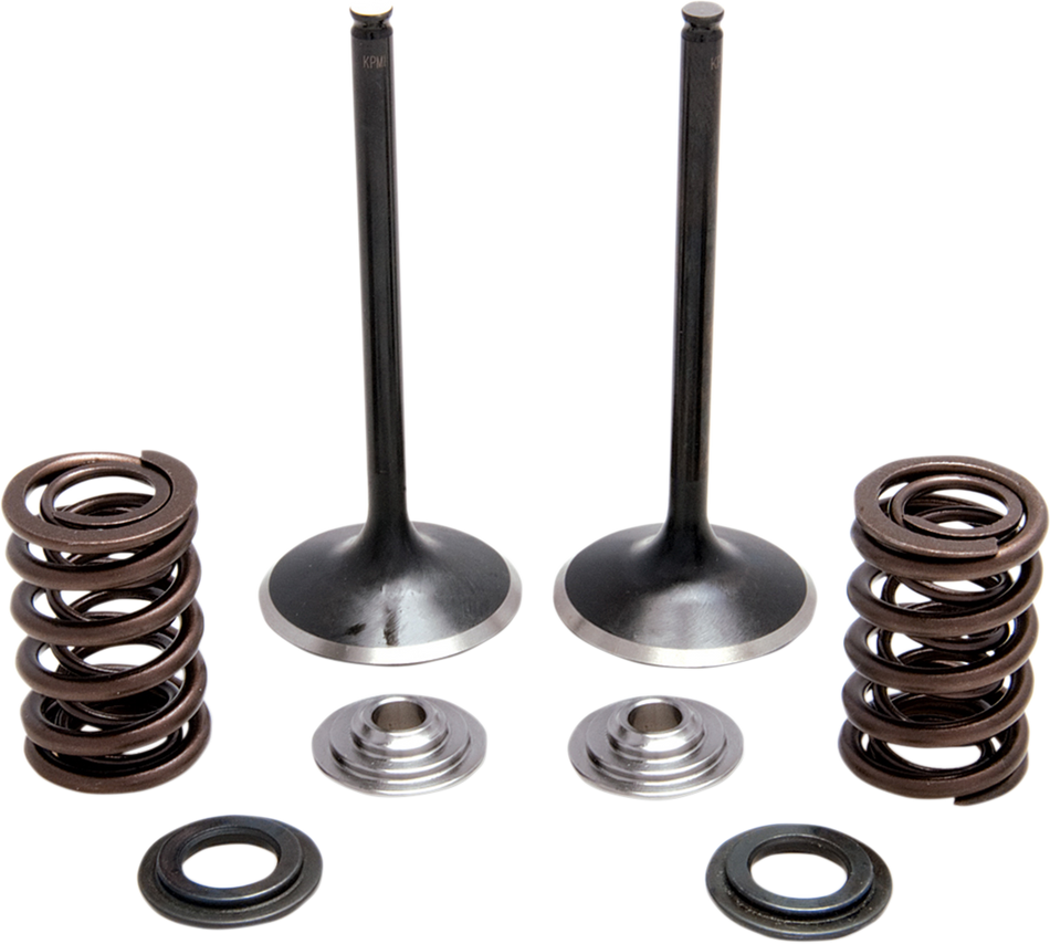 KIBBLEWHITE Spring Kit - Stainless Steel 30-31230