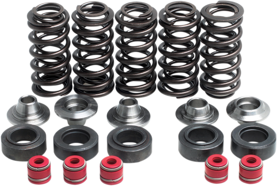 KIBBLEWHITE Valve Spring Kit 80-80100