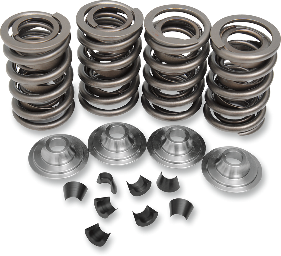 KIBBLEWHITE Valve Spring Kit - Big Twin 20-20430