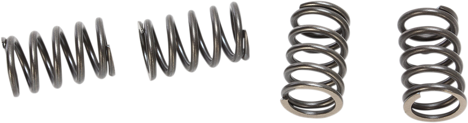 BBR MOTORSPORTS HD Clutch Springs - DRZ/KLX110 410-KLX-1105