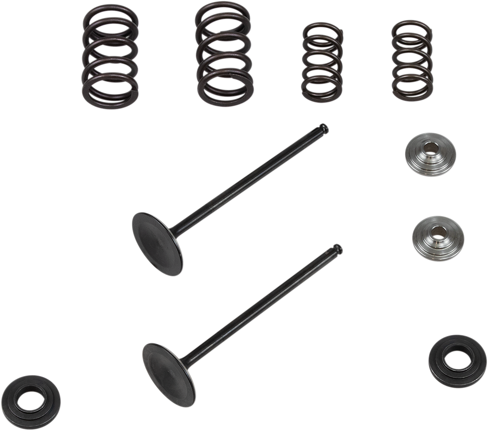 KIBBLEWHITE Valve Spring Kit 96-96450