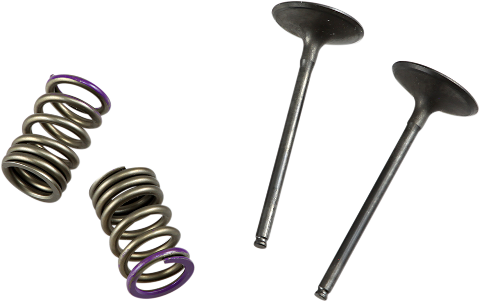 PROX Valve and Spring Kit 28.SIS4336-2