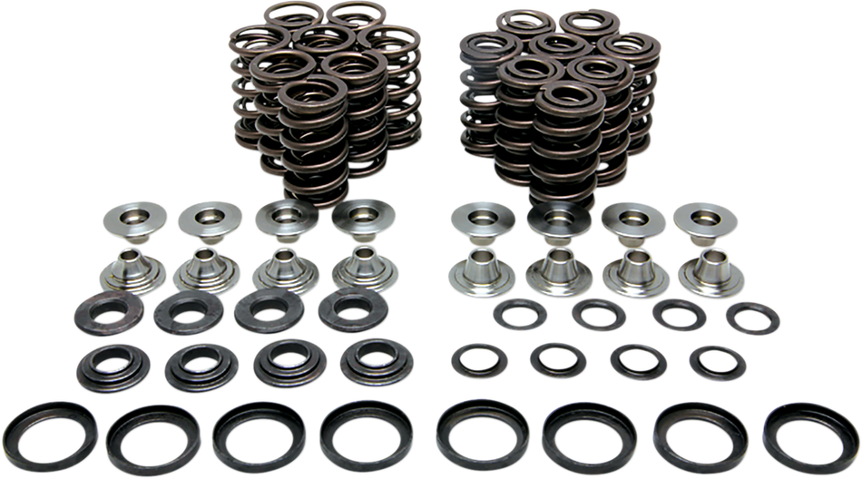 KIBBLEWHITE Valve Spring Kit 80-80650