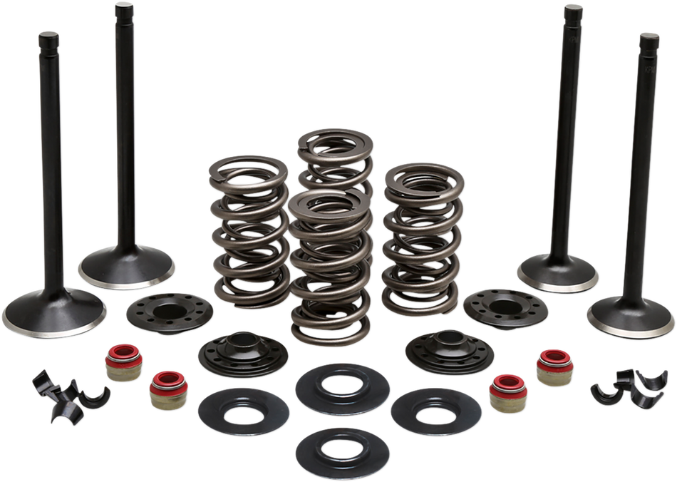 KIBBLEWHITE Complete Valve Kit - Evolution/883 20-22750