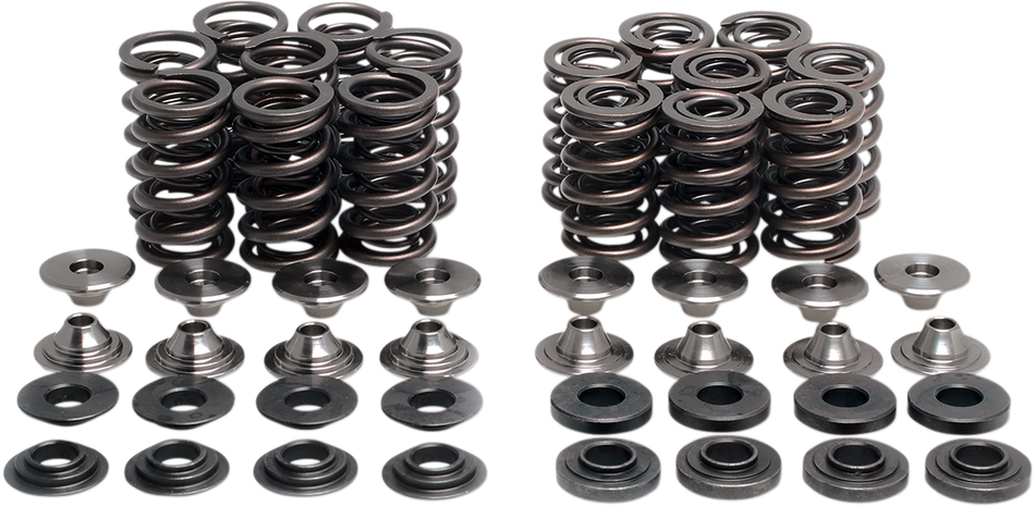 KIBBLEWHITE Valve Spring Kit 40-41100