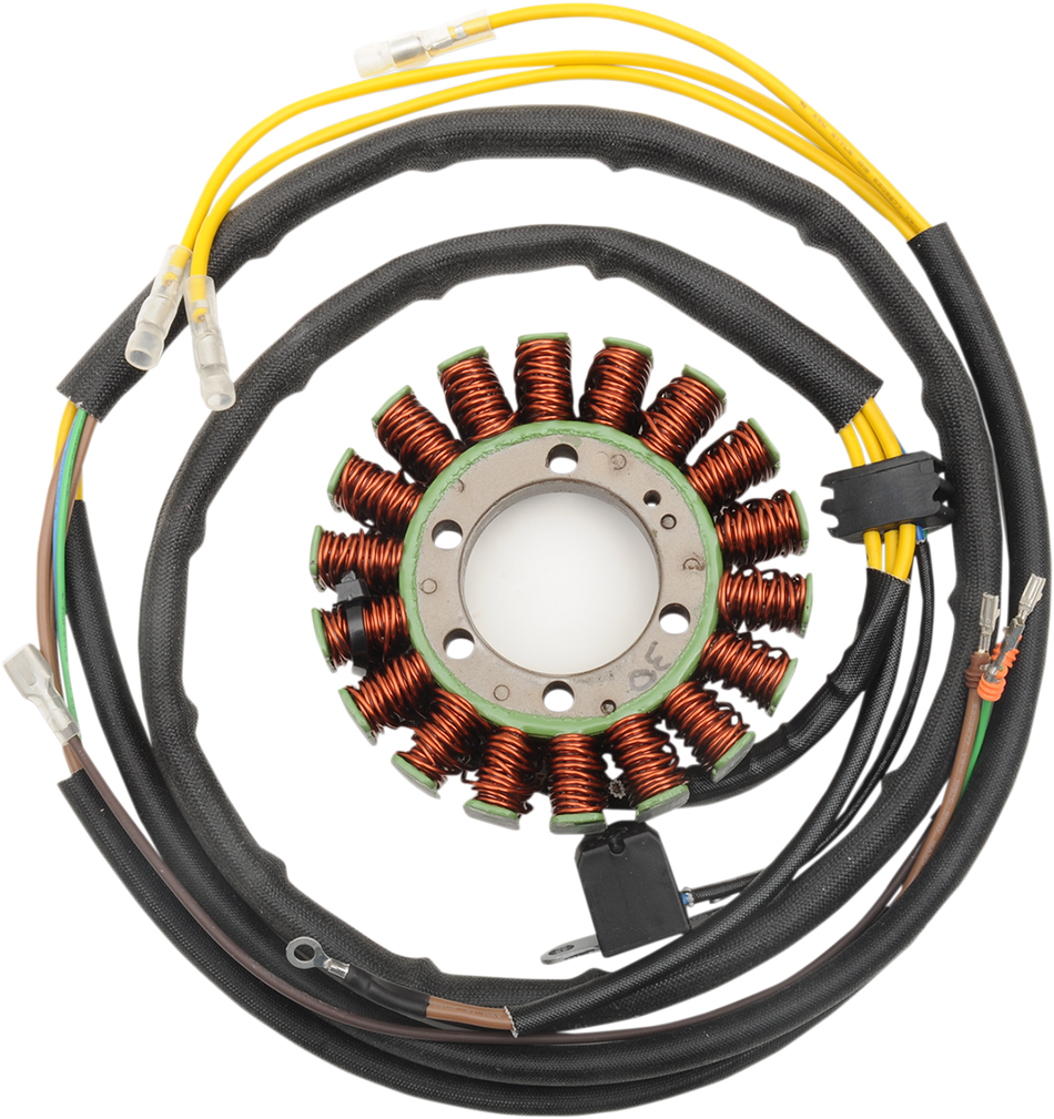 RICK'S MOTORSPORT ELECTRIC Stator 21-567