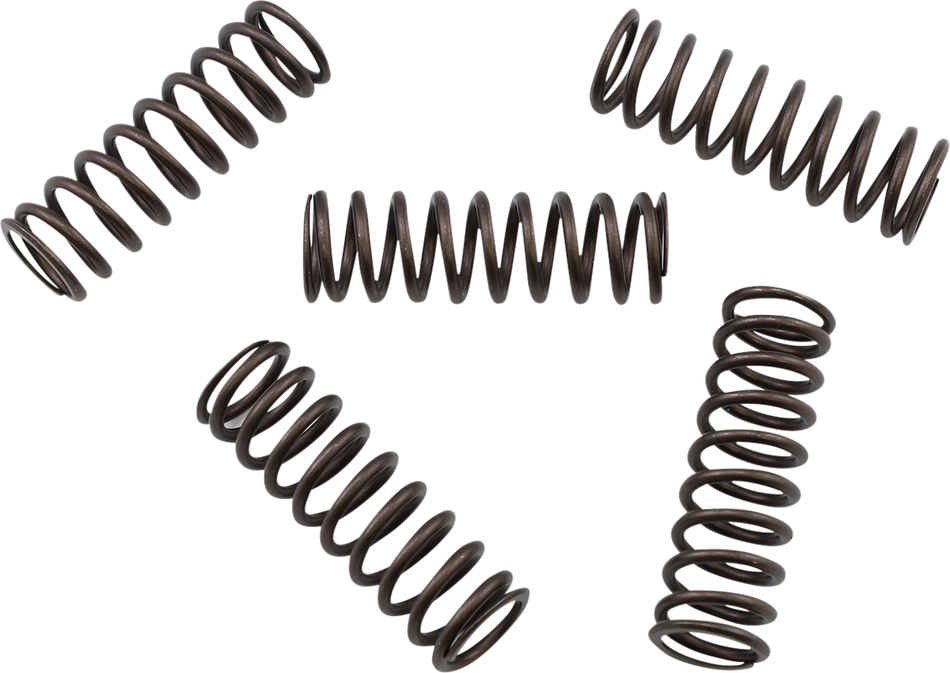 KG POWERSPORTS Clutch Spring Set KGS-805