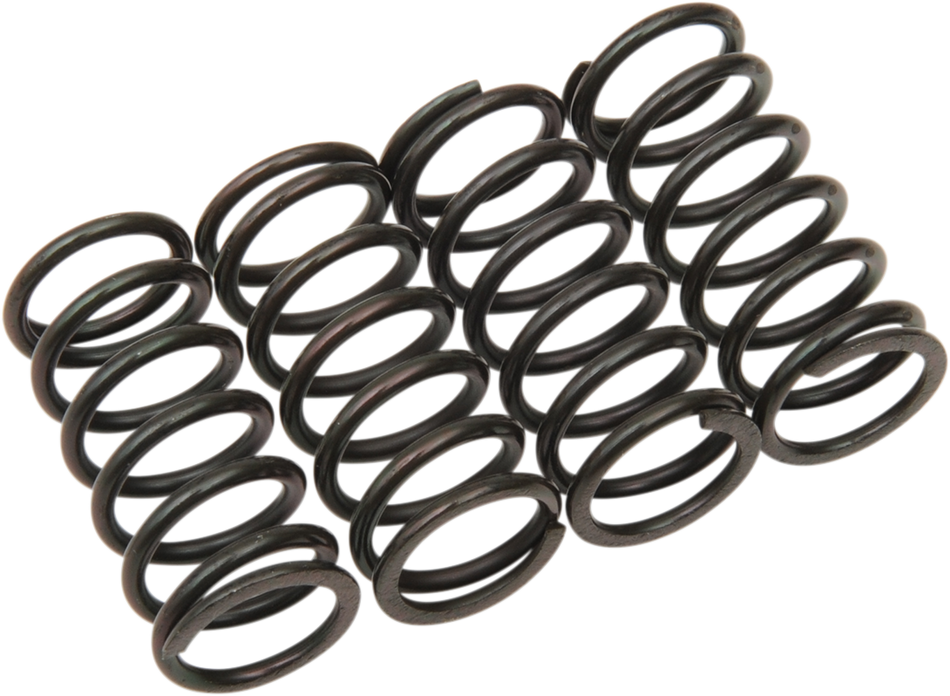 BARNETT Clutch Spring Kit 501-38-04132